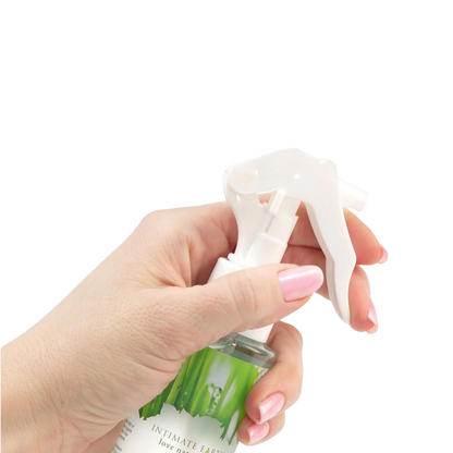 Green Toy Cleaner
