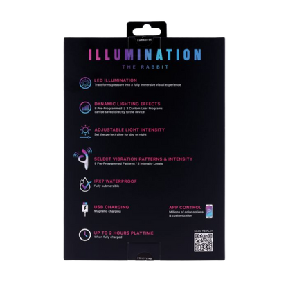 Illumination Rabbit