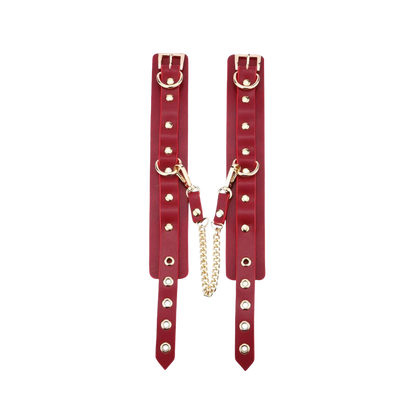 Luxe Bondage Bag
